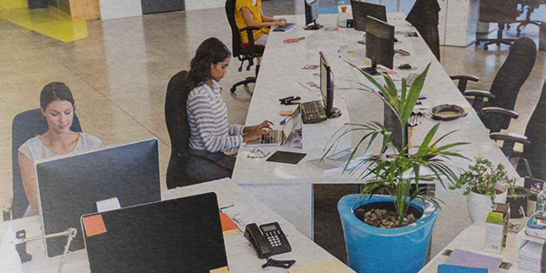 A imagem mostra um ambiente corporativo colaborativo, com várias pessoas em frente a computadores/notebooks para fazer referência ao trabalho de institutos e fundações empresariais.